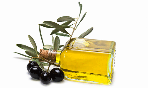 Ortaköy 151 Tarım Danışmanlık ve Ticaret Limited Şirketi